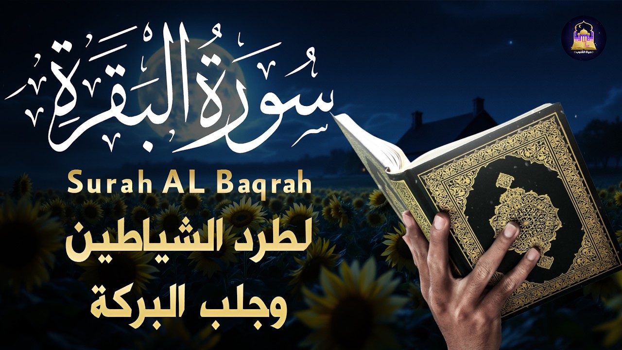 سورة البقرة طاردة الشياطين بدون اعلانات لحفظ وتحصين المنزل وجلب البركة تلاوة رائعة surah baqarah