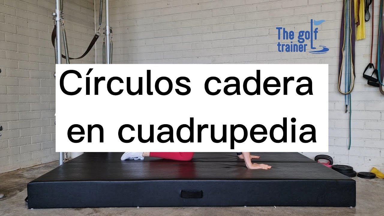 Circulos cadera en cuadrupedia