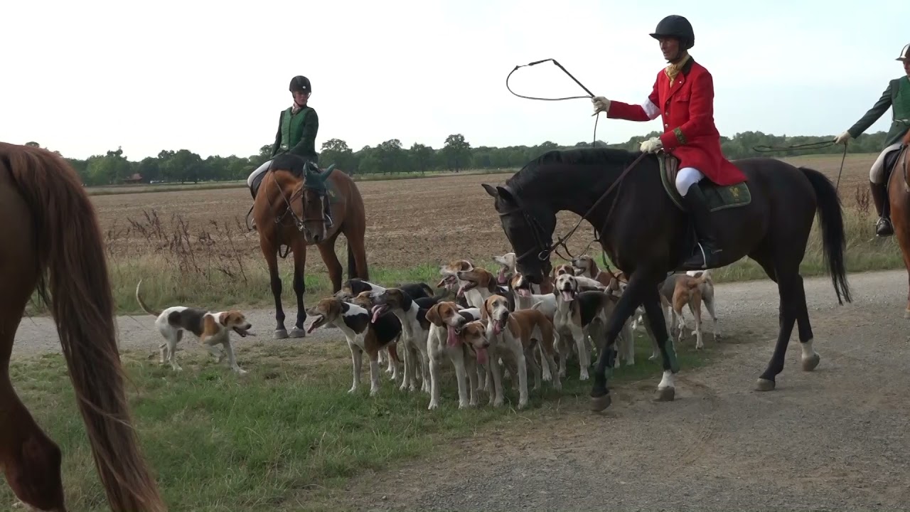 Jagd rechtsrum 2018