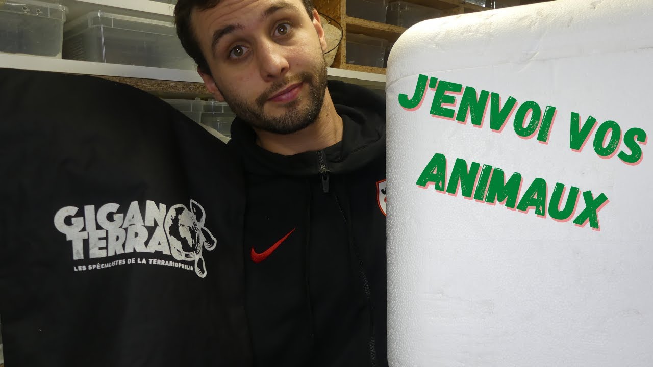 COMMENT ENVOYER des ANIMAUX via FRANCE EXPRESS. - REPTI'STORE