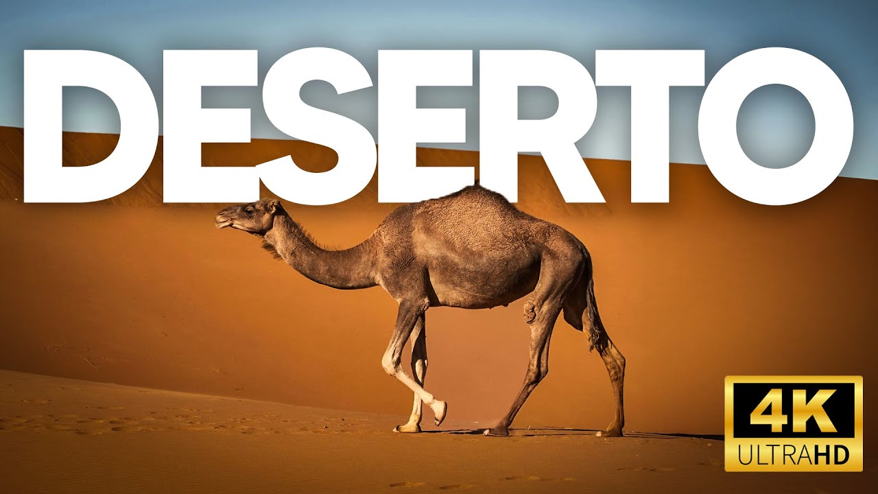 DESERTO DO SAARA | Estrat&eacute;gias Surpreendentes de Vida em Meio ao Calor Extremo - Document&aacute;rio