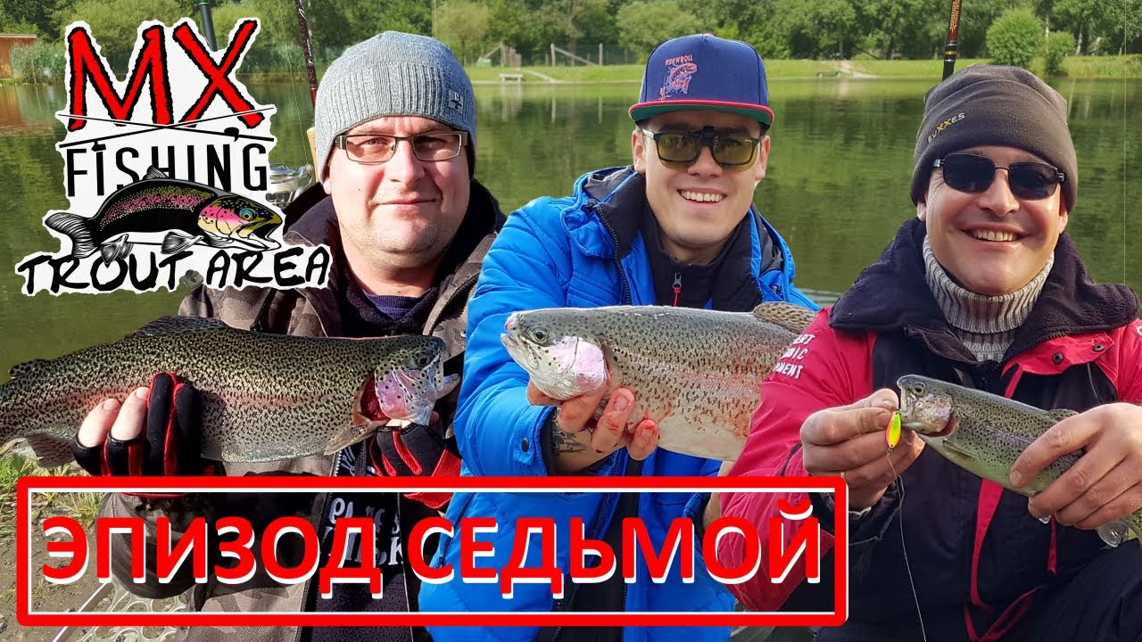 Прудовая форель/Седьмая встреча 