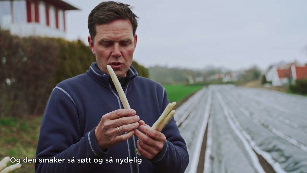 Hvasser Asparges - Jordens hvite gull -  Matskatter i MENY
