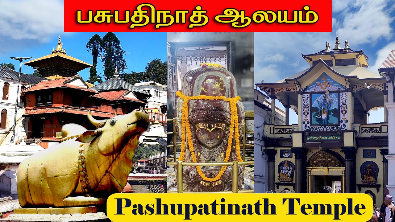 Pashupatinath Temple  Nepal பசுபதிநாத் கோவில் #shivtemple #god #nepal