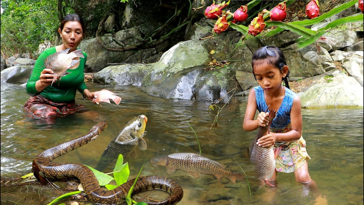 Catch many fish & snake by waterfall/ Grilled fish with salt & Cooking snake soup for dinner