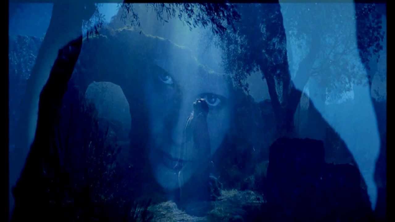 Veritas ڰۣڿڰۣ &hearts; ڰۣڿڰۣ PAUL MOTTRAM
