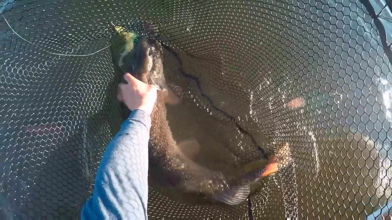 trophy pike fishing