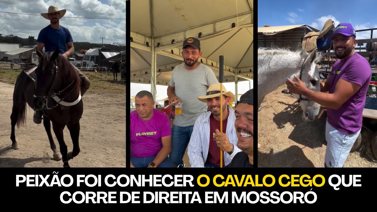 PEIXÃO ESTÁ NA VAQUEJADA DE MOSSORÓ FAZENDO MUITA RESENHA E CONHECEU O CAVALO CEGO QUE DERRUBA BOI