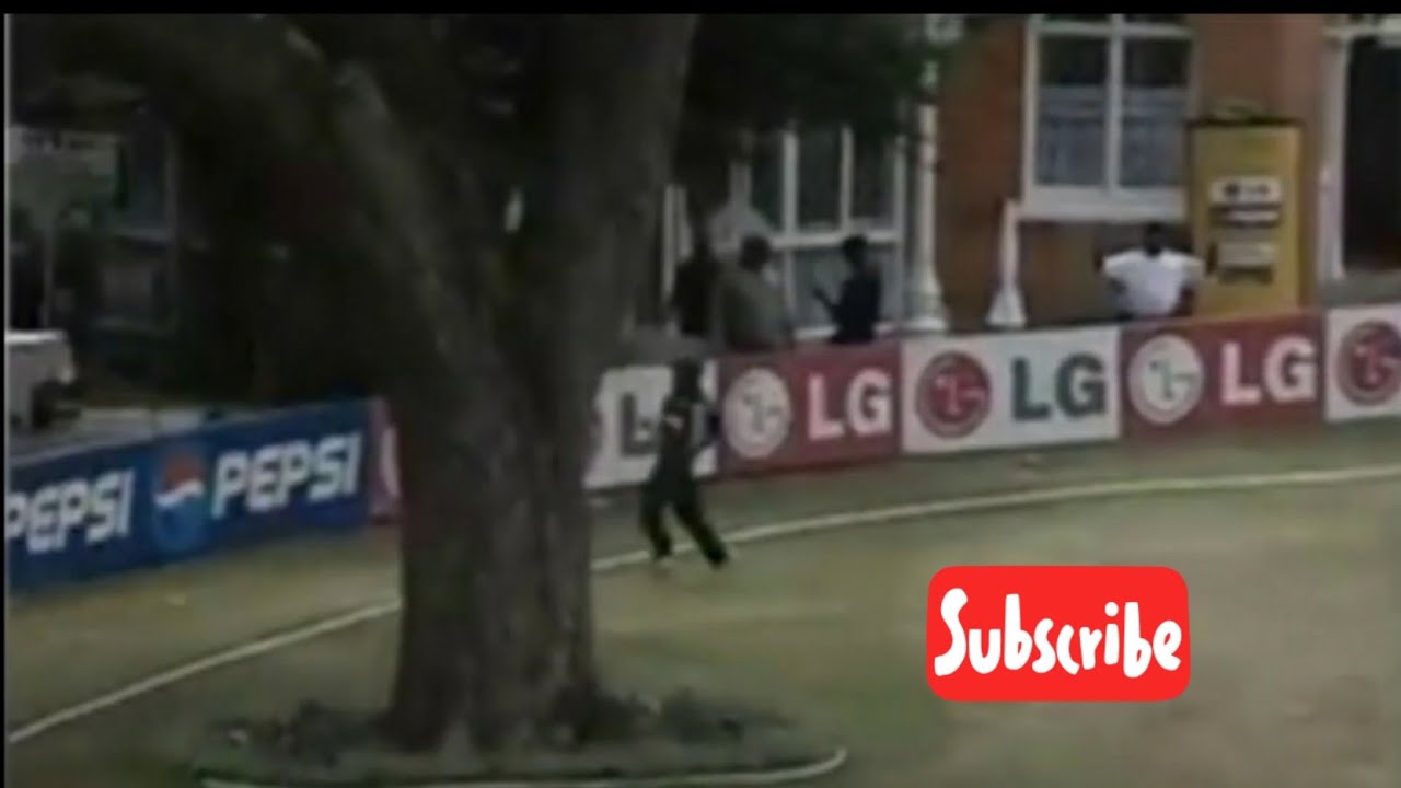 Tree inside the cricket ground.Pietermaritzburg