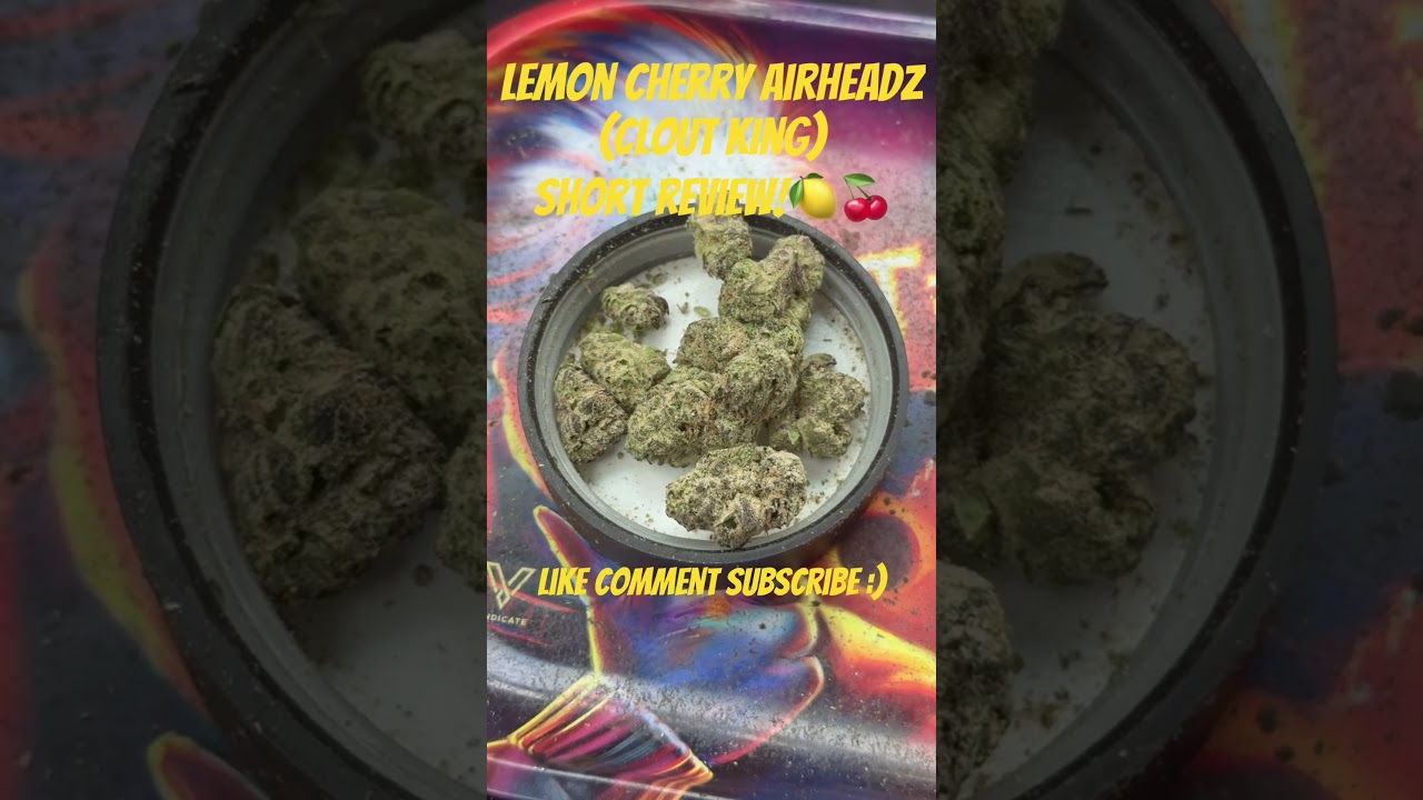 Lemon 🍋 Cherry 🍒 Airheadz (Clout King) Short Review! #cannabiseducation #cannabisdaily #ygmarley