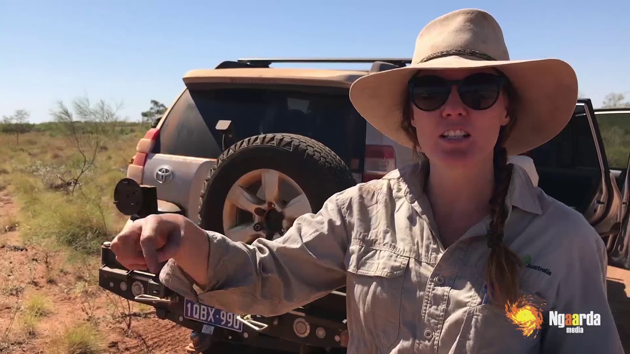 Yandeyarra Rangers