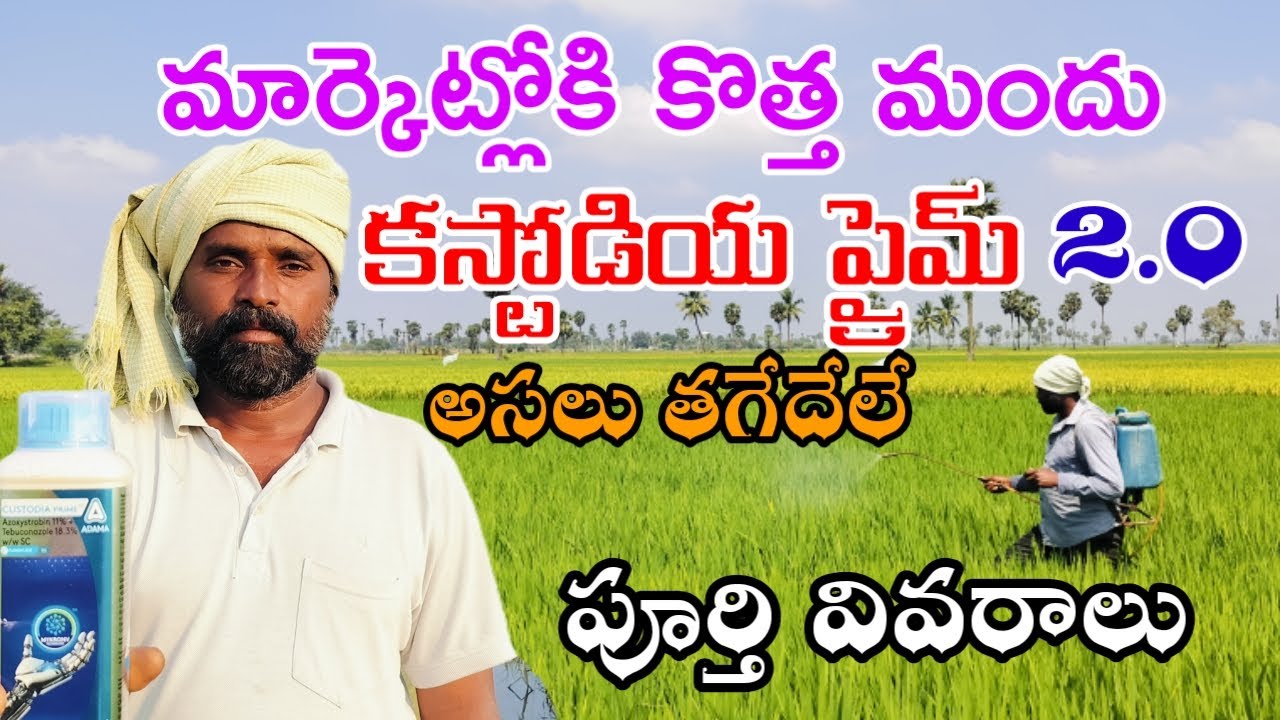 మార్కెట్లోకి కొత్త మందు కస్టోడియ ప్రైమ్ ఈ మందు  స్పీడ్ అసలు తగ్గడం లేదు. పూర్తి వివరాలు#agricultural