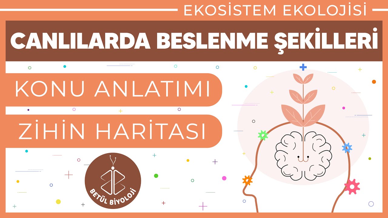 Canlılarda Beslenme Şekilleri | Konu Anlatımı | 10. Sınıf Biyoloji | TYT Biyoloji