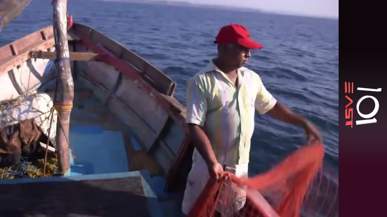Diminishing Ray of Hope: Manta Rays under Threat | 101 East