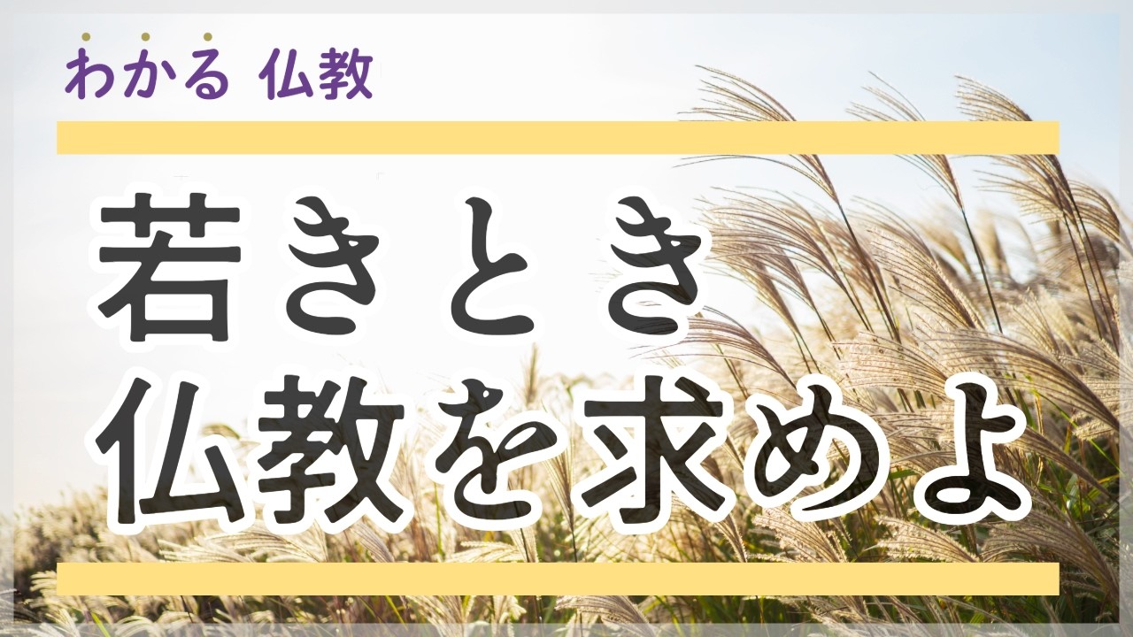 若いときに仏法は求めなさいよ