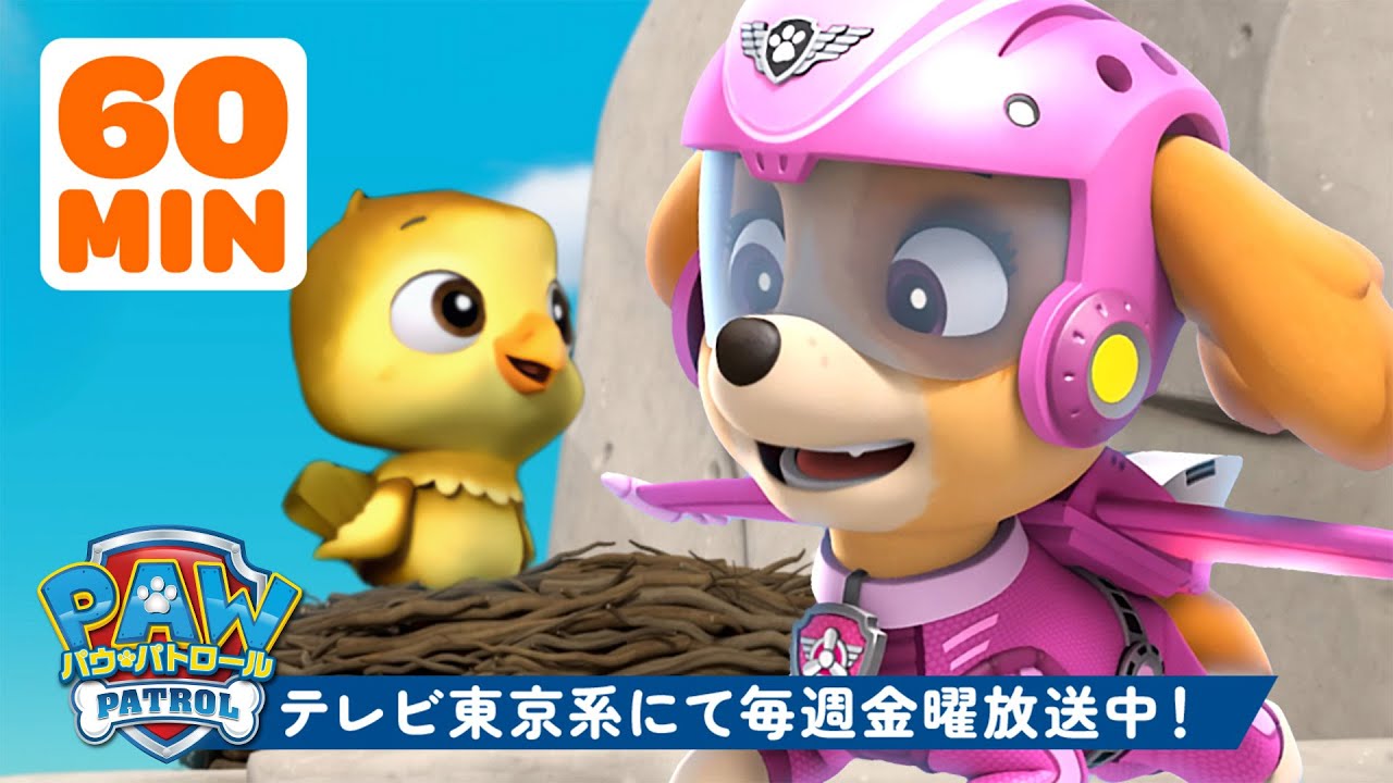 パウ・パトロール | パウ・パトロールのスカイが最高のレスキュー＆アドベンチャー！🛫１時間特集 | テレビ東京系にて放送中