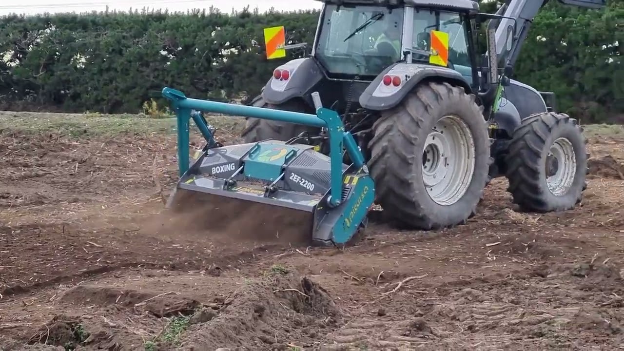 Picursa Boxing-DT Fixed Tooth Forestry Mulcher