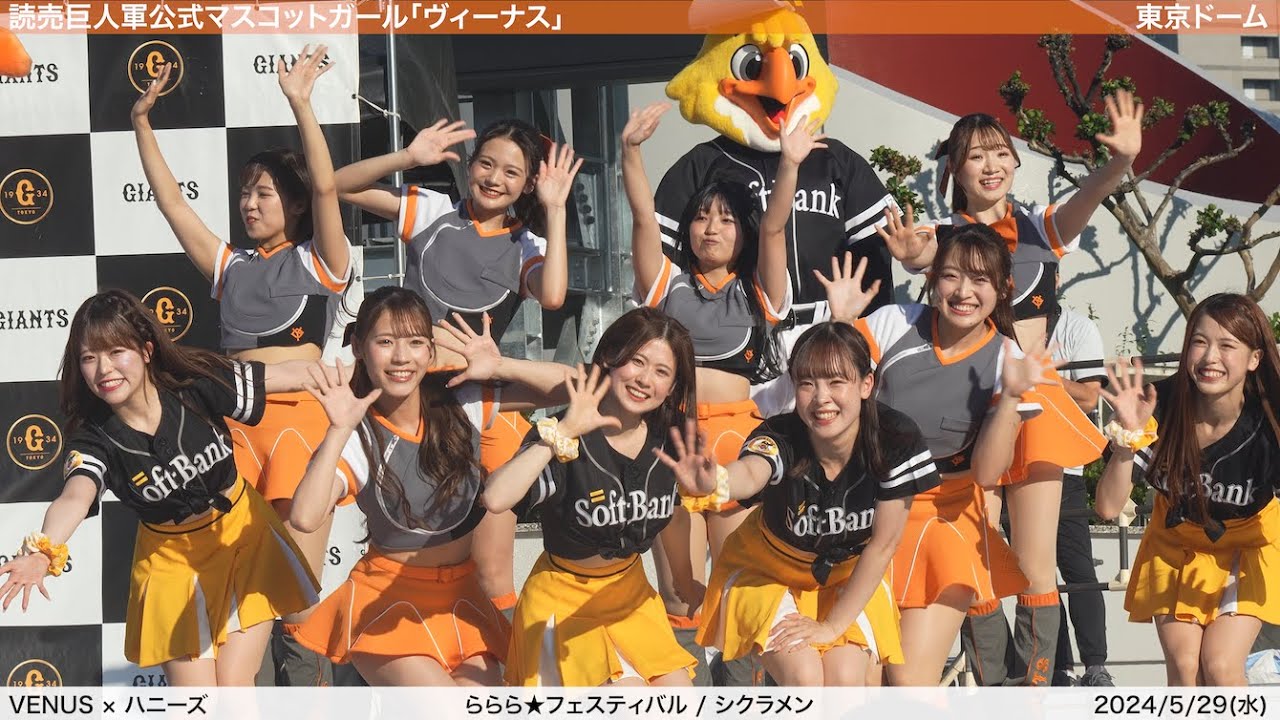 【VENUS × ハニーズ】2024/5/29(水) ジャイアンツスクエア(読売ジャイアンツ×福岡ソフトバンクホークス)【4K60fps】