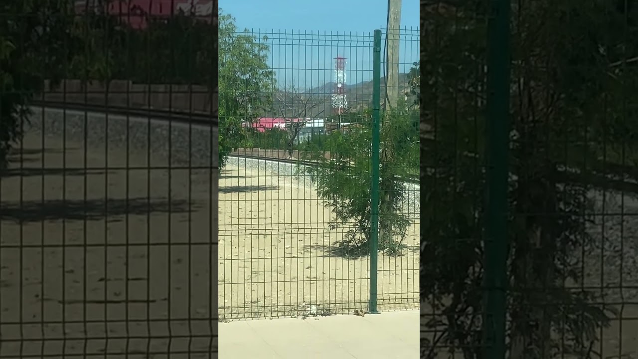 8 de febrero de 2026