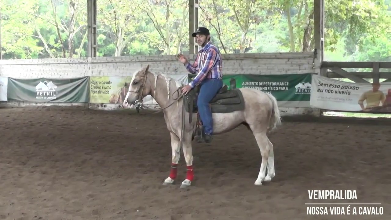 CAVALO PARADO PARA MONTAR, FAÇA ISSO!