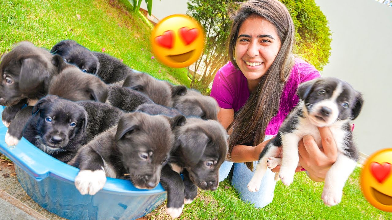 SAI ESCONDIDO DA FAZENDA PRA VER OS FILHOTINHOS DA SKY 😍