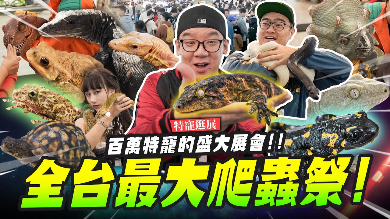 【特寵逛展】全台最大爬蟲祭!百萬特寵的盛大展會!!｜Mr.Joe Hobby.tv #巨人守宮 #澤巨蜥 #松果蜥
