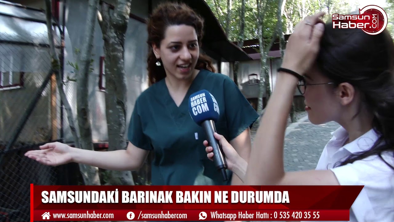 Samsundaki barınak bakın ne durumda