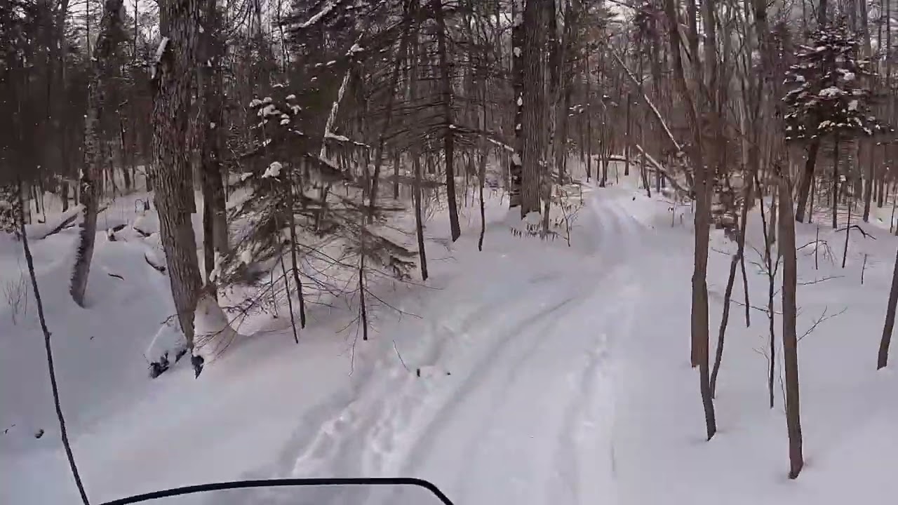 Taiga electric sled in a sled and horse and buggy town, Mackinac.