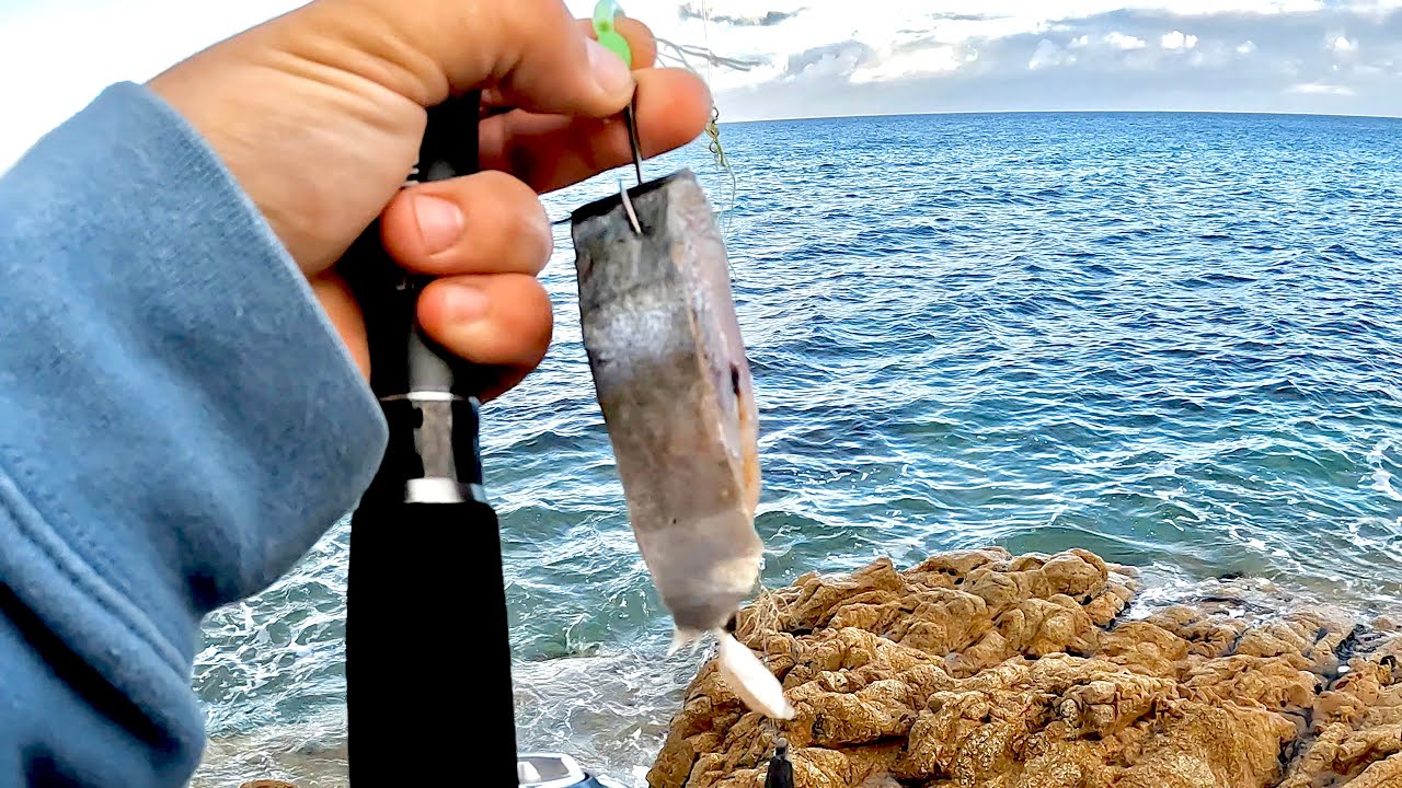 SNAPPER SWALLOWS HUGE TREVALLY FISH! The road to the 10kg snapper ep7.