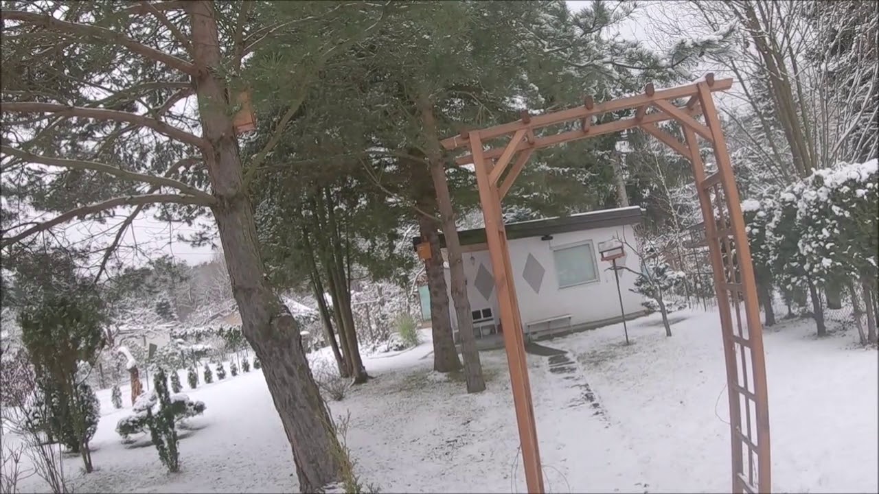 zima na działce