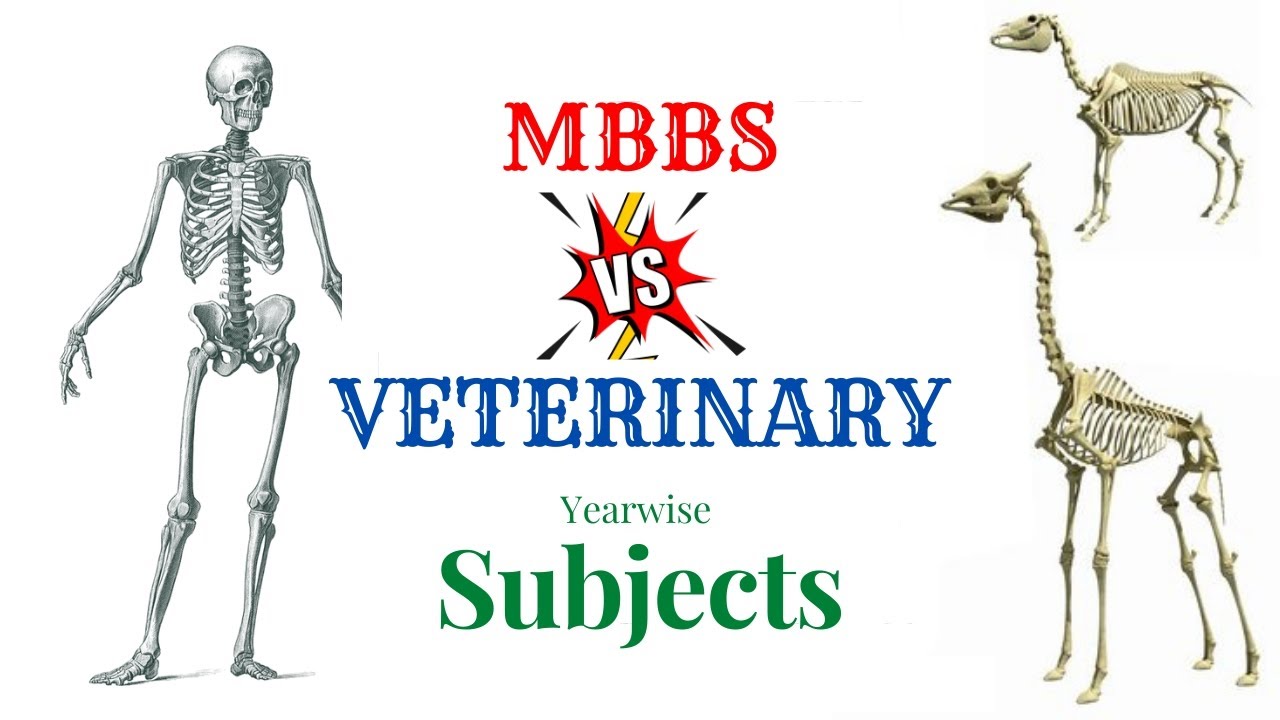 MBBS Vs Veterinary | BVSc & AH | Similarities & Differences | Subjects | @doctor_bhmk