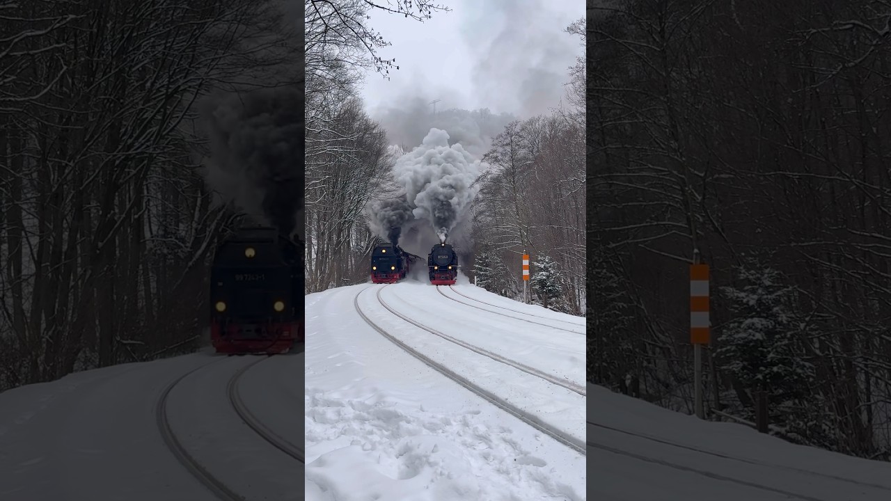 Doppelausfahrt in der winterlichen Landschaft #steampower #locomotive #germany #winter #snow #fyp