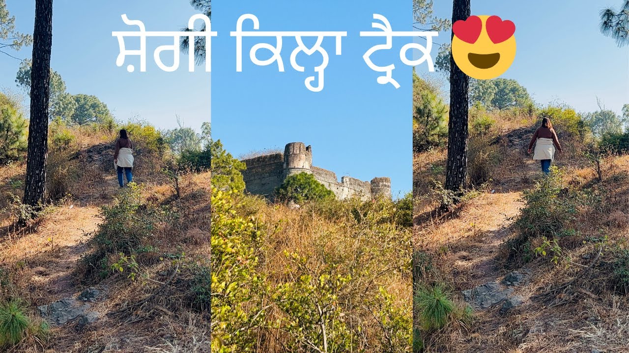 ਸ਼ੋਗੀ ਕਿਲਾ ਟ੍ਰੈਕ 🏔️ | ਹਿਮਾਚਲ ਦਾ ਲੁਕਿਆ ਹੋਇਆ ਕਿਲਾ