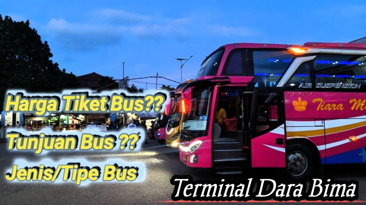informasi Harga tiket,Rute Bus dan Jenis Bus || Bus Malam dari Terminal Dara Bima