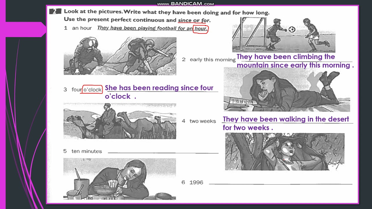 English World 7 / Unit 10 / Grammar : present perfect & perfect  continuous  ( WB 87 & BOOKLET )