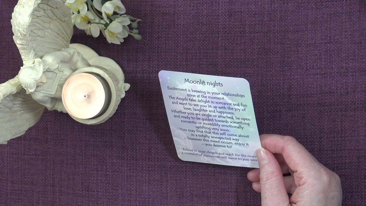 A Little Angel Message ✨ Your Daily Angel Message ✨ What the Angels want you to know 💖 #angelmessage