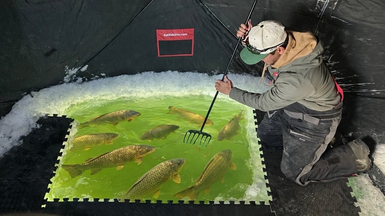 Spearing INVASIVE Fish Through an Ice Sight Hole! (CATCH CLEAN COOK)