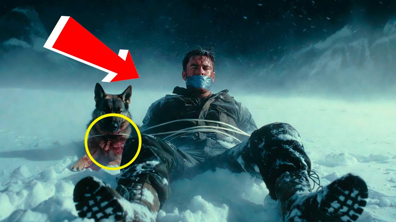 Ein Navy SEAL wurde lebendig im Schnee begraben — die Entdeckung eines Deutschen Schäferhundes ve...