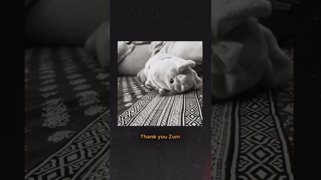Ali Fazal & Richa Chadha Shared A Heartfelt Video For Their Daughter Zuneyra