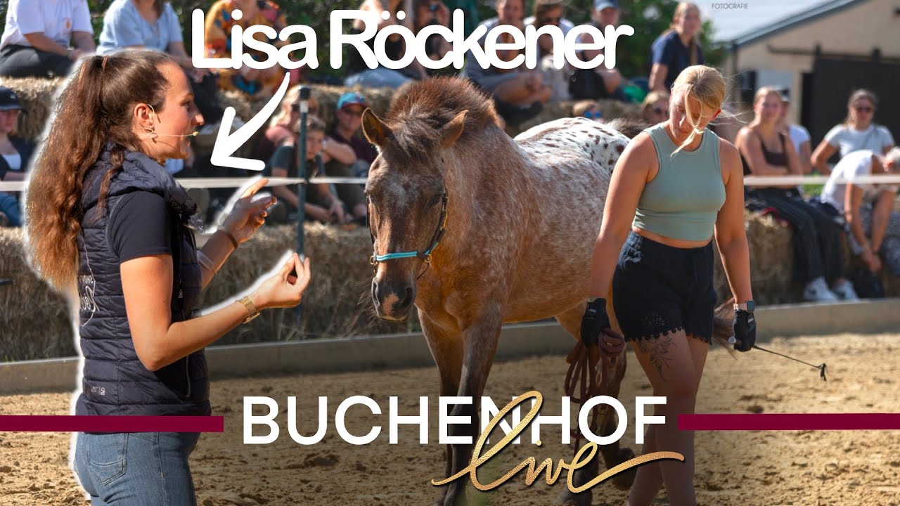 Lisa Röckener möchte unser Pony als Showpferd haben! 😁