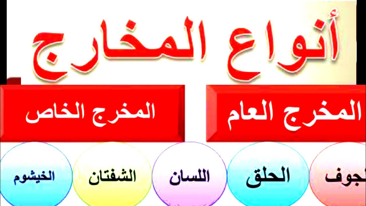 كم عدد المخارج العامه والخاصه ؟؟؟؟؟ اعرف الاجابه ف هذا الفيديو . الحلقه الاولي من درس المخارج