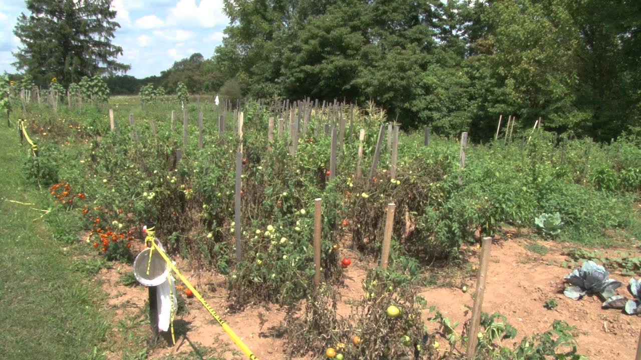 STEM Career, Sustainable Agriculture