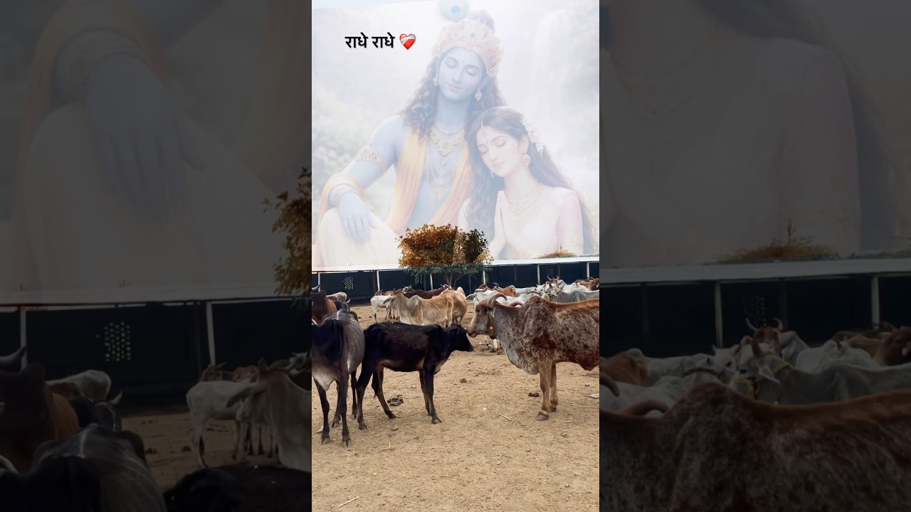 Maa 🌎❤️‍🩹