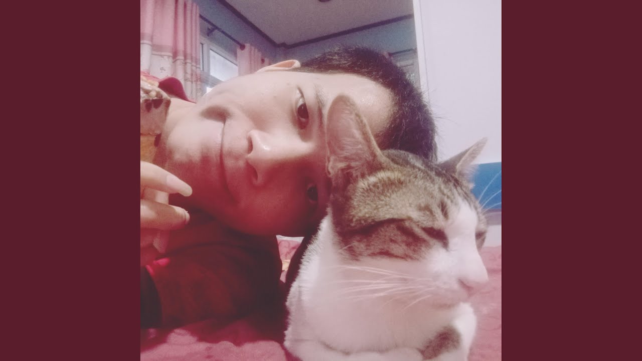 my cat needs a daddy (Instrumental)