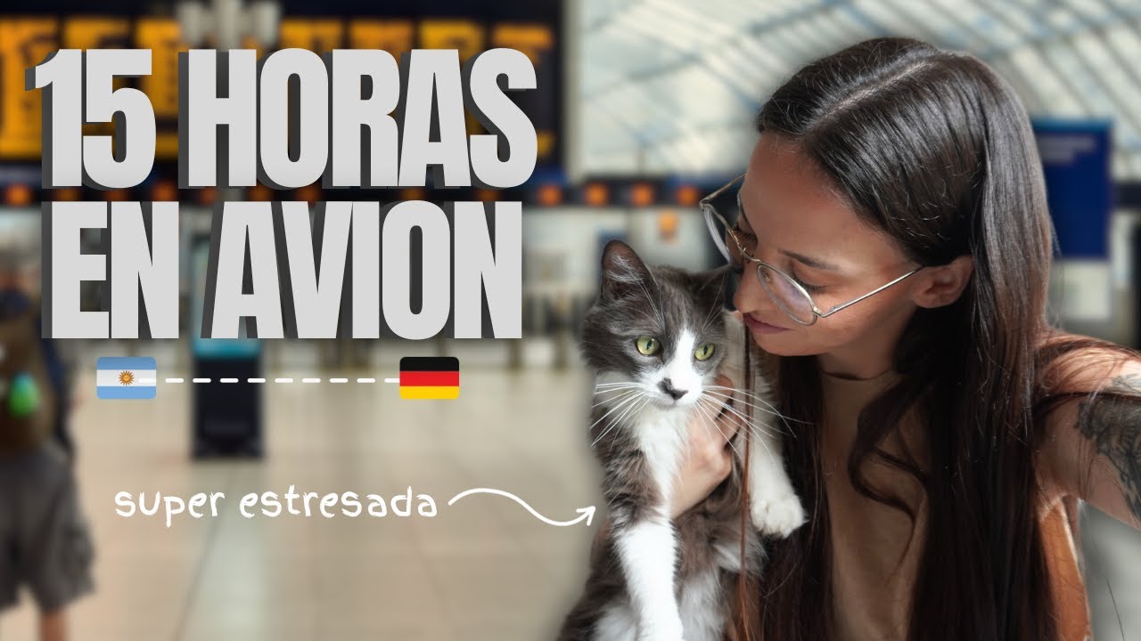 VIAJE A ALEMANIA CON MI GATITA: asi fue nuestro viaje desde Argentina en cabina con AIR EUROPA 😉