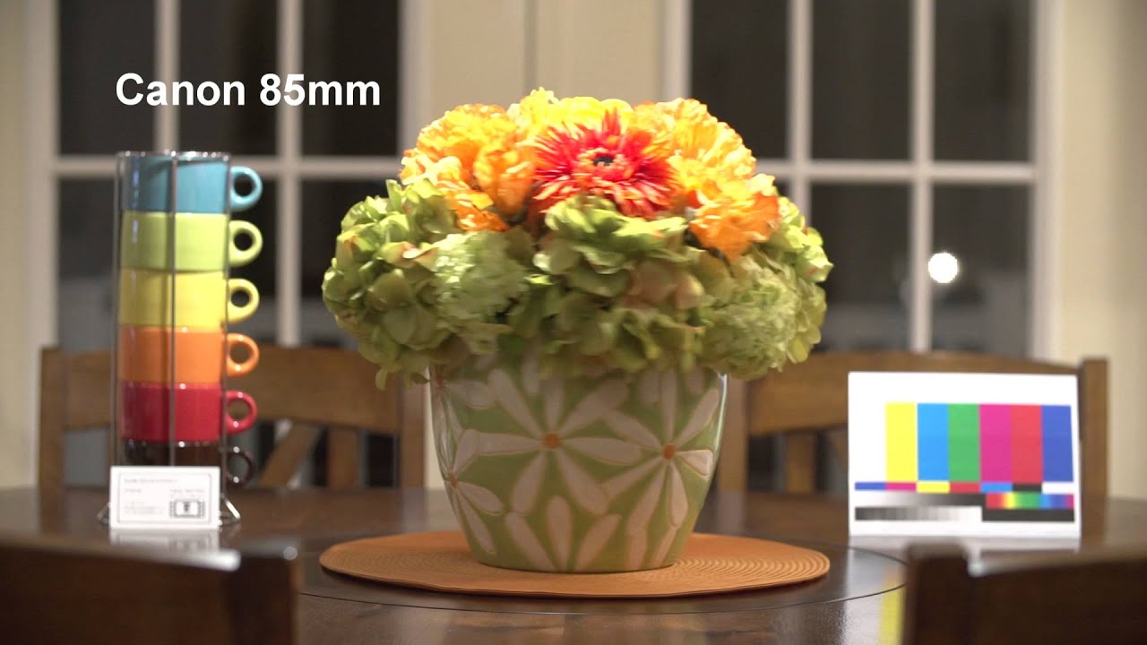 Six Prime Lenses Tested on Sony FS100