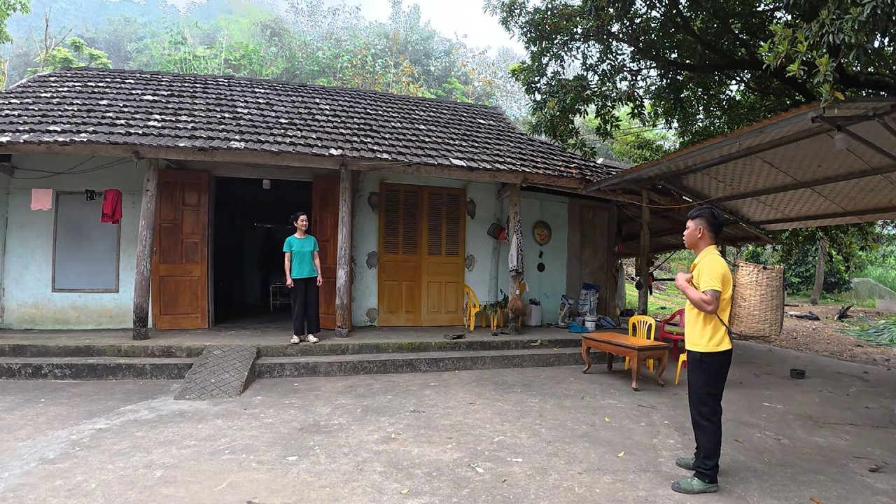 Tran Cong went to many places to inquire about buying land but without success. Find wild food