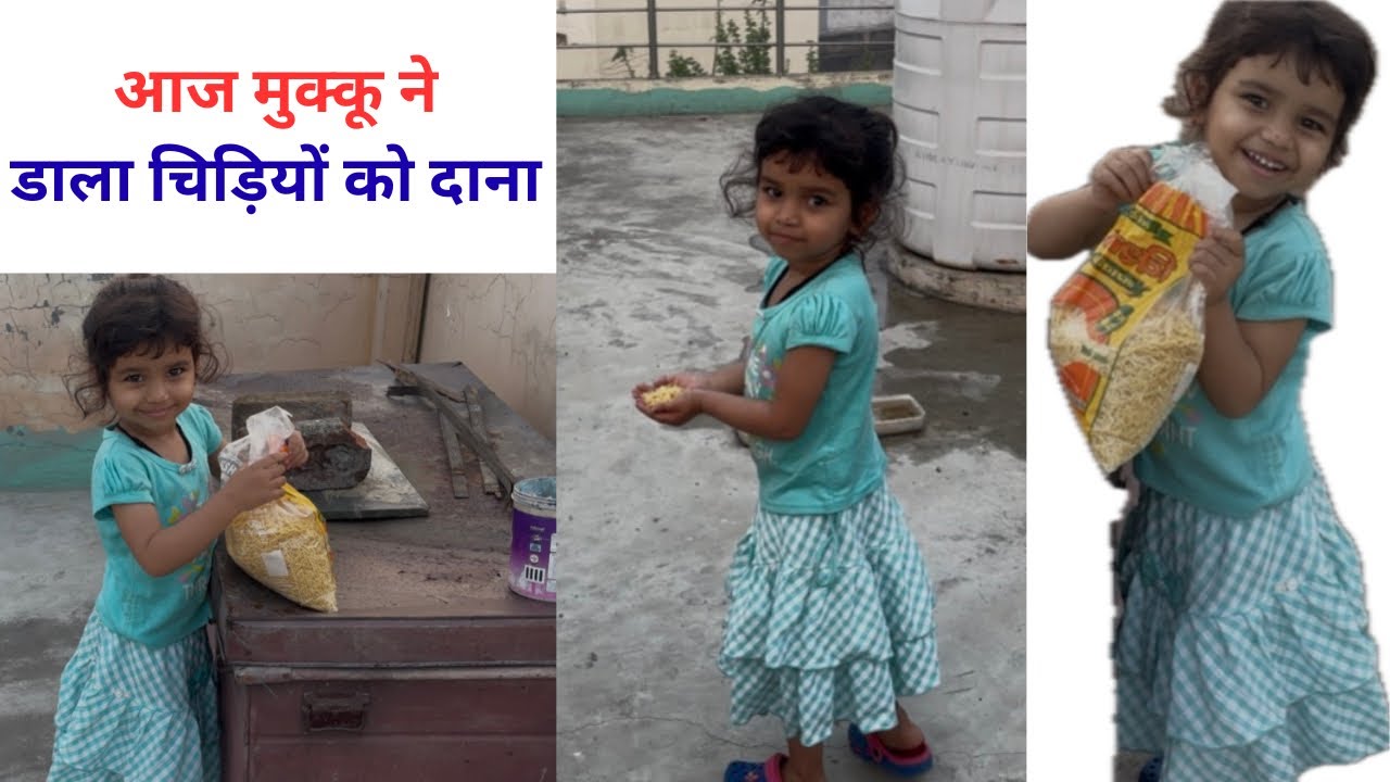 आज मुक्कू ने डाला चिड़ियों को दाना #newvideo #newvlog #youtubevideo #trendingvideo #contentcreator 