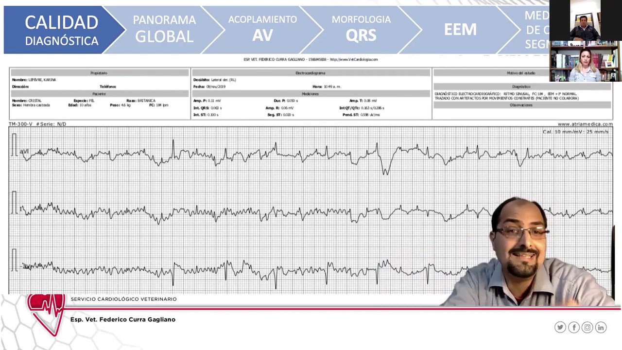Los 6 pasos para analizar un ECG en veterinaria (pequeños animales).