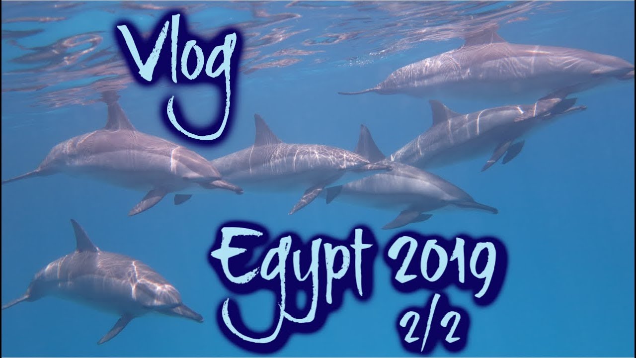 Vlog - Egypt 2019 - 2/2